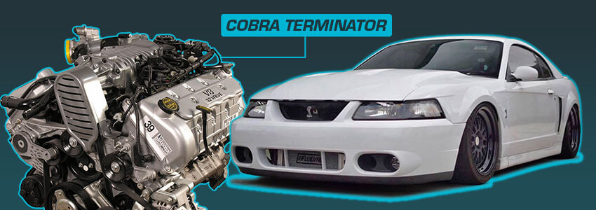 Terminator Cobra New Edge